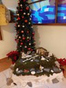 batch_20211228_093351.jpg