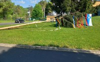 batch_20250430_095403.jpg