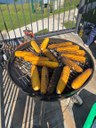 batch_IMG_9969.jpg