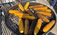 batch_IMG_9969.jpg