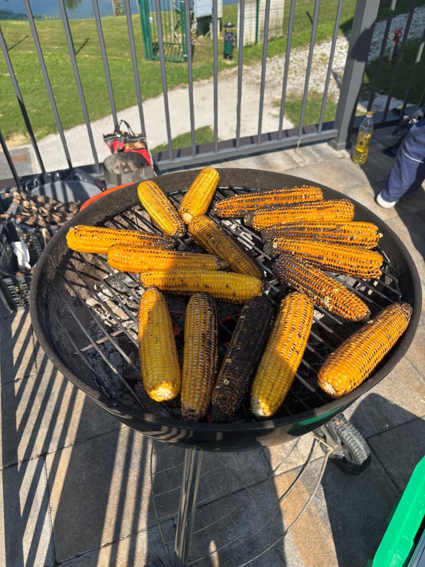 batch_IMG_9969.jpg