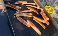 batch_IMG_9984.jpg