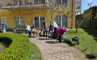 batch_20250409_113241.jpg