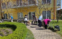 batch_20250409_113247.jpg