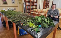 batch_20250411_085928.jpg
