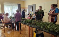 batch_20250411_090907.jpg