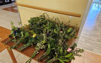 batch_20250411_094027.jpg