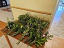 batch_20250411_094027.jpg