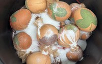 batch_IMG_8328.jpg