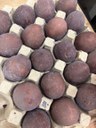 batch_IMG_8337.jpg