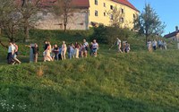 batch_IMG_5756.jpeg