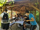 batch_20260526_114813.jpg