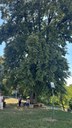 batch_IMG_5602.jpg