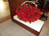 Glasbeno popoldne ob Dnevu žena