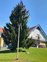 Praznovanje 1. maja - praznik dela