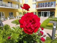 Obiski v Domu sv. Lenart ponovno omogočeni!